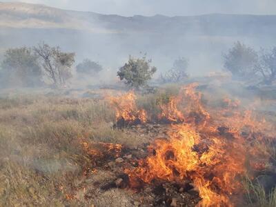 فیلم| تلاش برای مهار آتش سوزی مراتع و جنگل‌های کبیرکوه شهرستان دره‌شهر