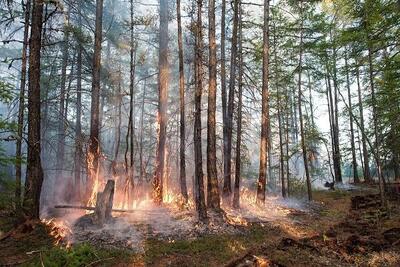 مهار آتش‌سوزی ۶ روزه جنگل‌های خائیز