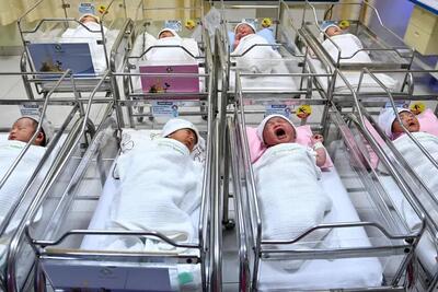 افزایش ولادت‌های شهری در خراسان جنوبی