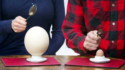 4 خاصیت تخم شترمرغ بر سلامتی + موارد منع مصرف تخم شتر مرغ