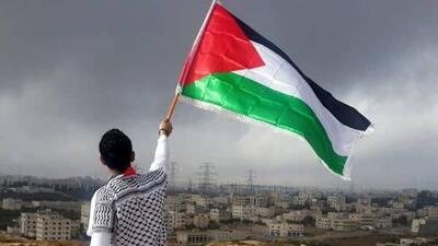 ژاپن در حال بررسی شناسایی فلسطین