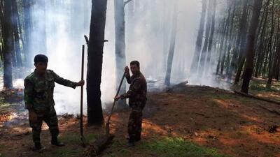 آتش سوزی در جنگل‌های «کشفی» آستارا مهار شد