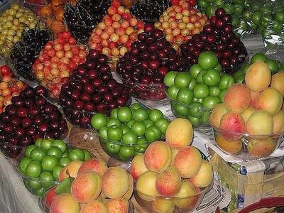 با گران‌فروشان بازار میوه برخورد تعزیراتی می‌شود