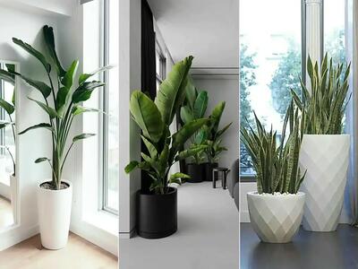 جدیدترین مدل های گلدان بزرگ کنار سالنی برای گیاهان طبیعی + عکس