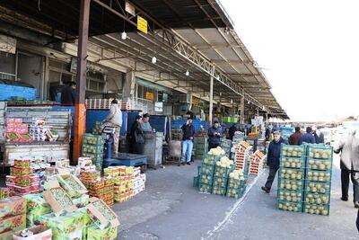 گران‌فروشان بازار میوه در دام تعزیرات