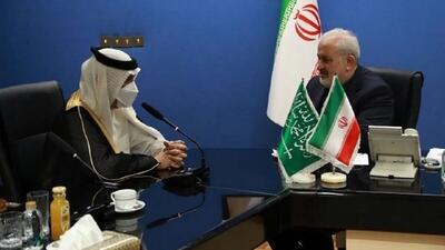 وزیر صمت و سفیر عربستان در تهران دیدار کردند