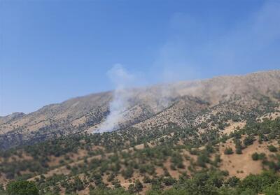 آتش مجدد در منطقه حفاظت‌شده سیوک شعله‌ور شد + فیلم و عکس - تسنیم