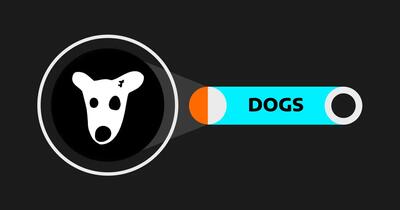 رمزارز داگز (DOGS)، میم کوین بومی تلگرام، معرفی شد