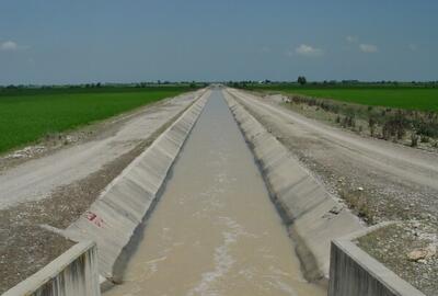 توزیع ۳۷ میلیون متر مکعب آب در کشتزار‌های تحت تنش آبی شهرستان میاندورود
