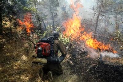 ۱۰ سال حبس برای عامل آتش سوزی جنگل‌های خفر
