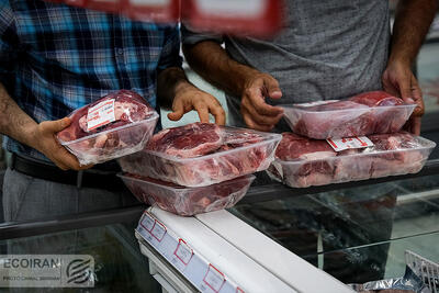 قیمت گوشت گوسفندی میانگین ۵ درصد بالاتر از گاوی