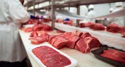 قیمت گوشت قرمز امروز ۲۴ تیر ۱۴۰۳/ رشد چشمگیر قیمت ران ممتاز گوسفندی! + جدول