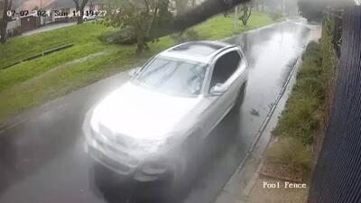 (ویدئو) راننده خوش شانس در کیپ تاون