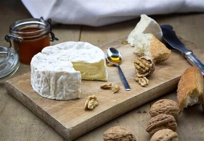 با  طبع پنیر آشنا شوید | خواص و مضرات پنیر!