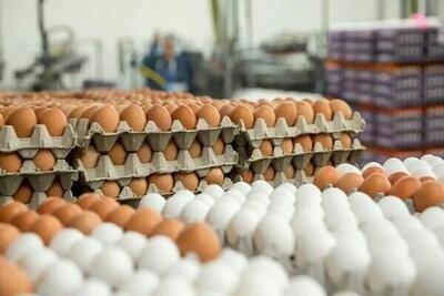 قیمت تخم مرغ پوسته قهوه‌ای در بازار میوه و تره بار کاهش یافت