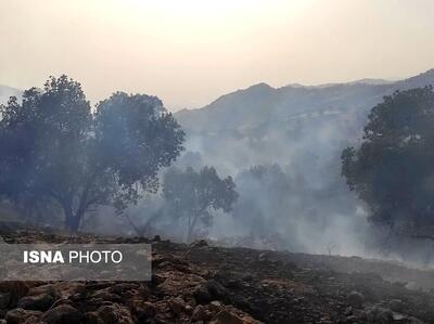 تداوم آتش‌سوزی ارتفاعات«نارک» گچساران پس از دو روز