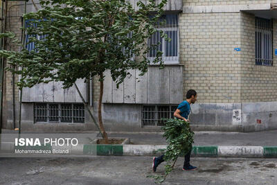 خیزش گرد و خاک در غرب و جنوب تهران