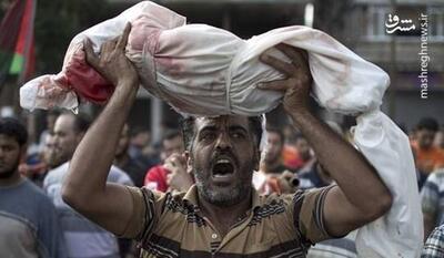 اینفوگرافیک/ کربلای غزه