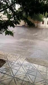 رگبار شدید باران در مشهد