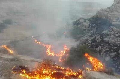 ۱۰ سال حبس برای عاملان آتش سوزی عمدی اراضی جنگلی شهرستان خفر