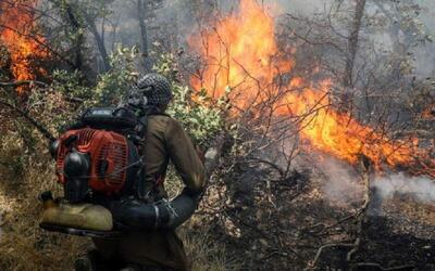 آتش‌سوزی گسترده در جنگل‌ها و مراتع کوه سیاه چاروسا کهگیلویه