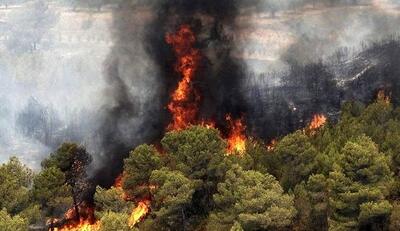از ابتدای سال 1403 تاکنون بیش از 52 مرتبه جنگل ها و مراتع ایران در آتش سوختند