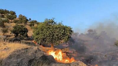 آتش در جنگل های زاگرس / درخواست اعزام بالگرد آبپاش به منطقه دزپات خوزستان