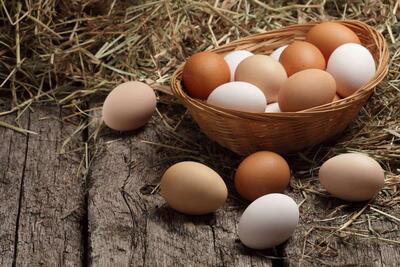 چرا رنگ تخم‌مرغ‌ها قهوه‌ای و سفید است؟ دلیل این تفاوت چیست؟