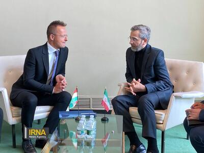 دیدار باقری با وزیر خارجه مجارستان در نیویورک + فیلم