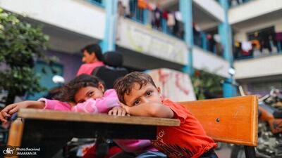 شهادت 9241 دانش‌آموز از آغاز جنگ علیه غزه