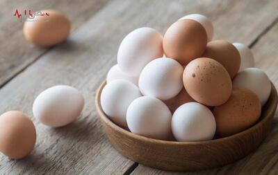 تخم مرغ قهوه ای یا سفید کدام سالم تر است؟ حقیقتی که همه باید بدانند