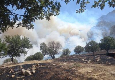 آتش‌سوزی دوباره در جنگل «اولنگ»