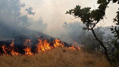 مهار آتش سوزی جنگل های شهرستان ایوان با حضور بالگرد آب پاش