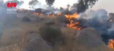 جنگل اولنگ در آتش دوباره می سوزد! + فیلم