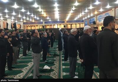 تجمع و عزاداری بوشهری‌ها در تاسوعای حسینی- عکس صفحه استان تسنیم | Tasnim