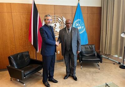 دیدار علی باقری با رئیس مجمع عمومی سازمان ملل - تسنیم