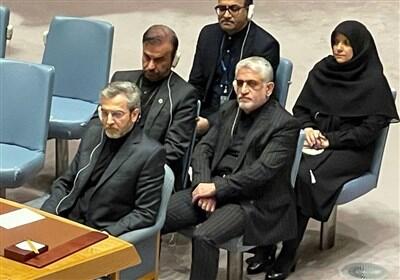 باقری در نشست شورای امنیت: حمایت ایران از مقاومت، مشروع است - تسنیم