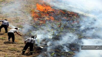 اختلاف زن و شوهر بوکانی ۷ هکتار مزرعه گندم را به آتش کشاند