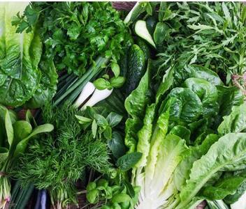 تولید بیش از ۸۵۰۰ تن سبزیجات سالم از مزارع استان قزوین 