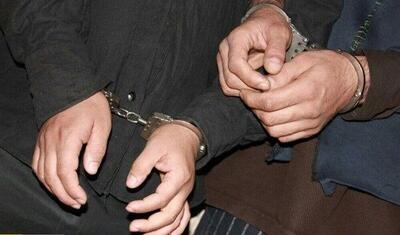 زوج قاچاقچی توزیع مواد افیونی بازداشت شدند