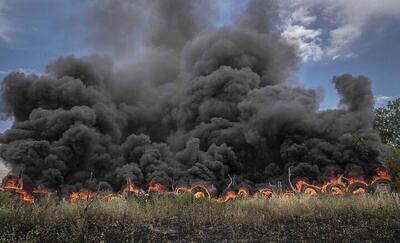 جنگل‌های سوخته زاگرس؛ میراثی برای دولت پزشکیان/خسارات قابل جبران نیست | اقتصاد24