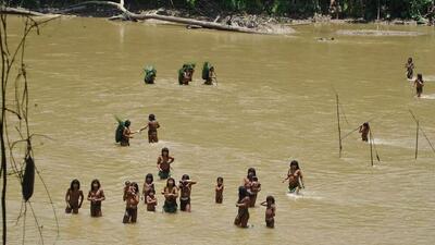 تصاویر تازه از «منزوی‌ترین قبیله جهان» در آمازون؛ شرکت‌های چوب‌بُر بومیان پرو را منقرض می‌کنند؟