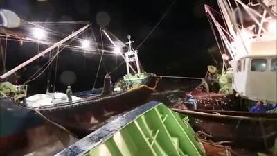 (ویدئو) فرآیند صید میلیون ها ماهی تن و مرکب توسط ماهیگیران ژاپنی