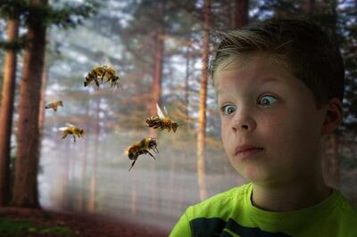 نیش زدن زنبور به چشم انسان را جدی بگیرید.