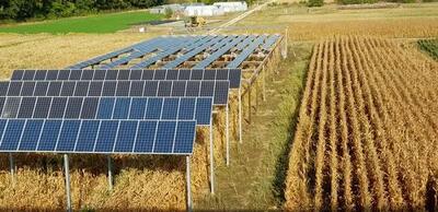 استفاده از سیاست‌های تشویقی در ایجاد مزرعه‌های خورشیدی توسط کشاورزان