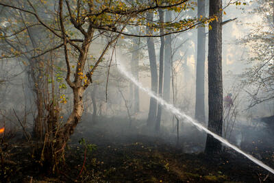 آتش‌سوزی منابع طبیعی شهرستان دزپارت مهار شد