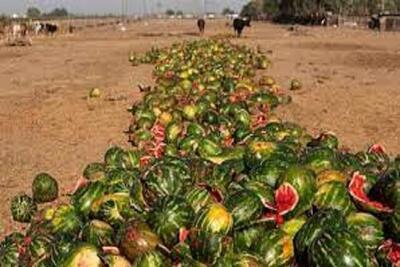 تأثیر کاهش ضایعات محصولات کشاورزی بر امنیت غذایی در ایران