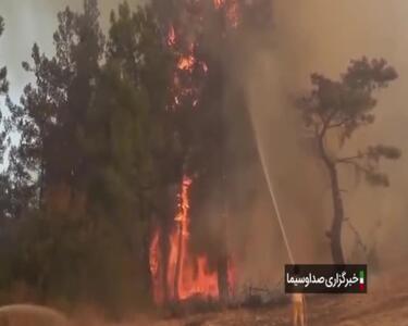 در آتش‌سوزی جنگل در ازمیر ترکیه ، ۳ نفر جان باختند