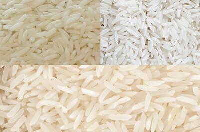 توجه به صنعت برنج در اولویت قرار گیرد