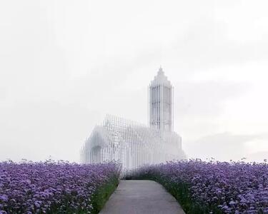 معماری متفاوت کلیسای بدون سایه ؛ سازه ای عجیب در دل مزارع اسطوخودوس+ تصاویر